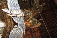 IMG_1029.JPG